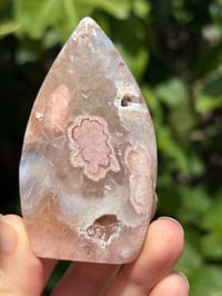 Image 2 of Flower Agate Freeform #15