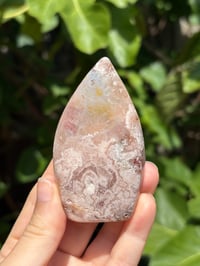 Image 4 of Flower Agate Freeform #15