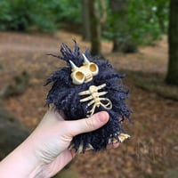 Image 3 of Wild Navy Skellie 