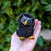 Image 2 of Coal Black Horned Hootling