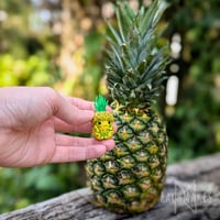 Image 3 of Pineapple Acorn Baby