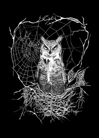 Entanglement