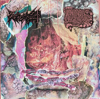 K9 Hemorrhoids / Entropic Pestilence - Split CDr