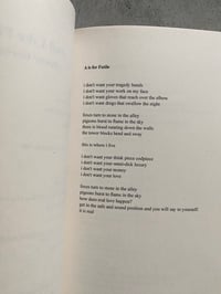 Image 3 of Fail Like Fire by PENNY GORING