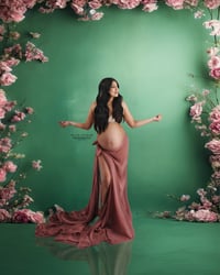 Belly to Baby Plan Initial Payment