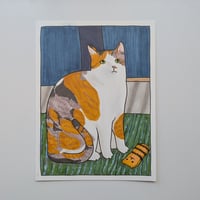 Image 1 of Cat Portraits