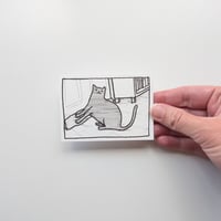 Image 4 of Cat Portraits