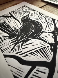 Image 2 of BLACKBIRD print