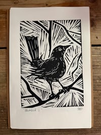 Image 1 of BLACKBIRD print