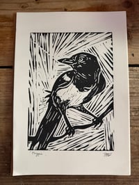 Image 1 of MAGPIE print