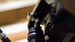 Image of Cable B Series Slave Adapter
