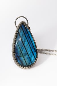Image 2 of Little bluebird Labradorite 