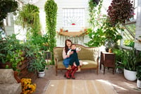Image 3 of Fall Greenhouse Minis