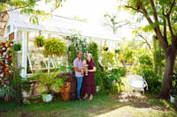 Image 4 of Fall Greenhouse Minis