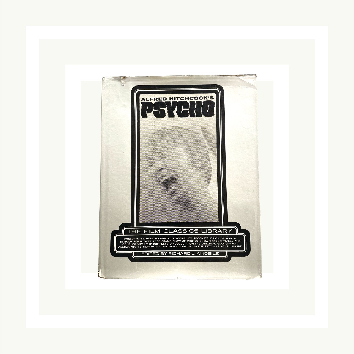 Image of Alfred Hitchcock's Psycho: The Film Classics Library