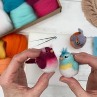 Image 6 of Needle Felting Kit – Baby Birds