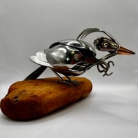 Image 1 of Tui Perched