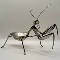 Image 1 of Mantis