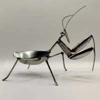 Image 3 of Mantis