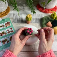 Image 3 of Needle Felting Kit – Cacti