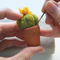 Image 8 of Needle Felting Kit – Cacti