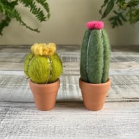 Image 9 of Needle Felting Kit – Cacti