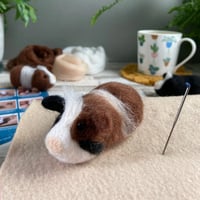 Image 4 of Needle Felting Kit – Guinea Pigs