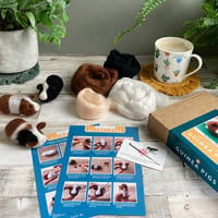 Image 3 of Needle Felting Kit – Guinea Pigs