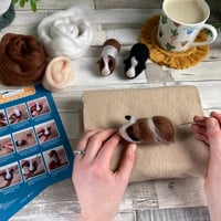 Image 6 of Needle Felting Kit – Guinea Pigs