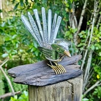 Image 3 of Perched Pīwakawaka