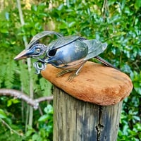 Image 4 of Tui Perched