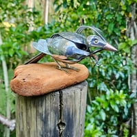 Image 5 of Tui Perched