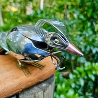 Image 3 of Tui Perched