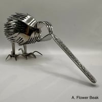 Image 1 of Forked Kiwi's