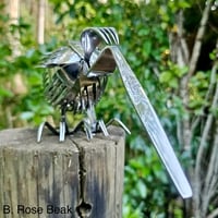 Image 5 of Forked Kiwi's