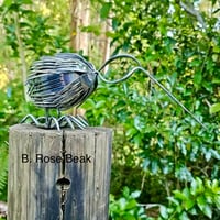 Image 8 of Forked Kiwi's