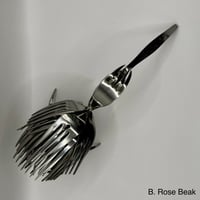 Image 6 of Forked Kiwi's