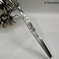Image 7 of Forked Kiwi's