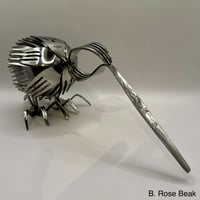Image 4 of Forked Kiwi's
