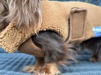 Image 2 of Brown Teddy Coat