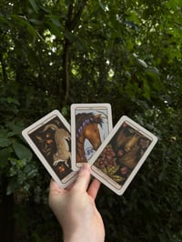 Image 2 of Oracle Readings