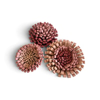 Image 1 of Broches Florales , modèles BLOOM, Nude