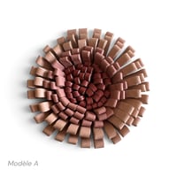 Image 3 of Broches Florales , modèles BLOOM, Nude