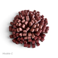 Image 5 of Broches Florales , modèles BLOOM, Nude
