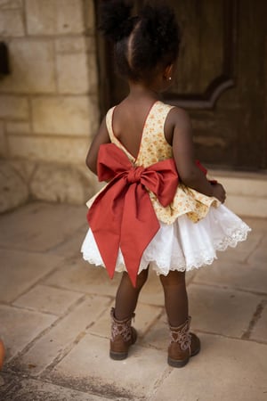 Image of Rusty Rose Dress
