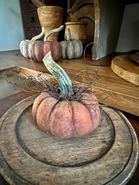 Image 1 of Dried Pumpkin Gourd