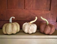 Image 3 of Hand Painted Paper Mache Pumpkins 