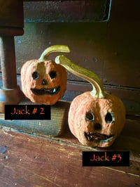 Image 4 of Mini Jack's