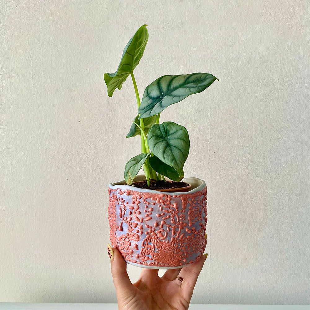 Image of Solaris Plant Pot #2