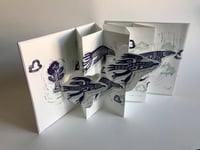 Flight Pattern pop out book